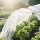 🥬 50 % DE RÉDUCTION MAINTENANT ! Filet de protection pour potager en maille fine et résistante – Protection et culture 2 en 1, barrière anti-insectes sans pesticides, laisse passer l'air et la lumière