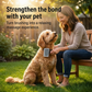 Brosse de toilettage professionnelle pour chiens et chats