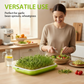 Plateau germoir durable
