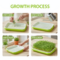 Plateau germoir durable