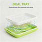 Plateau germoir durable