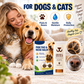 Baume hydratant pour coussinets de pattes de chiens et de chats