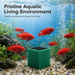 🥳PROMO EXCEPTIONNELLE 2026🥳 💞+50 000 ventes ! 🐠💧 50 % de réduction ! Cube filtrant charbon actif : filtration nid d’abeille clarifie l’eau trouble et supprime les odeurs. Bloc anti-effritement, pour un aquarium à l’eau cristalline !🛡️✅